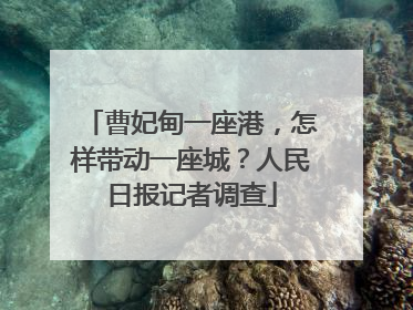 曹妃甸一座港，怎样带动一座城？人民日报记者调查